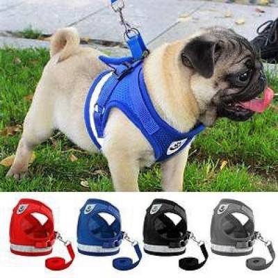 Peitoral e Guia para Cachorro Coleira Caes E Gatos Colete Regulavel Confortave