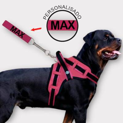 coleira e Guia para cachorro nome personalizado coleira peitoral conforto peit