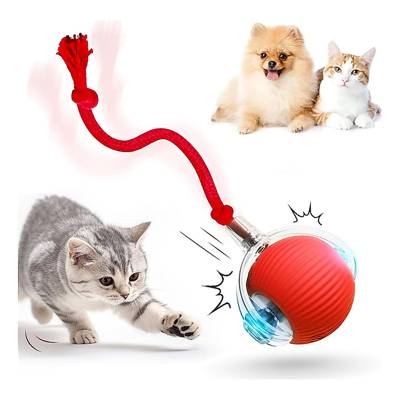 Bola Brinquedos com Cauda De Rolamento Automático  Do Falso Recarregável Bola 