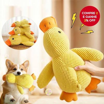 Brinquedo de Pelúcia Pato Ladrê para Cães; Brinquedo Dental e Urso de Pelúcia 