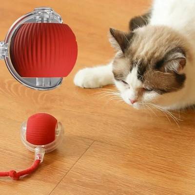 Bola Brinquedos De Rolamento Automático Cauda Do Falso Recarregável Bola Intel