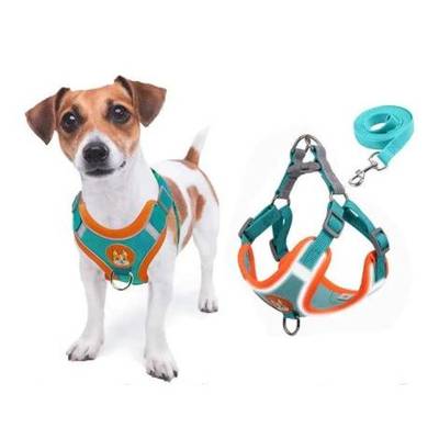 Coleira Peitoral para cachorro pequenos e médios com guia para pet colete conf