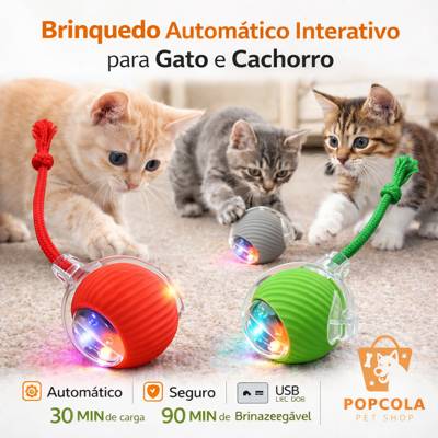 Bola Interativa Automática Pet Cães Gatos Recarregável USB Brinquedo Elétrico 